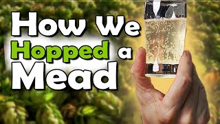 Let's Add HOPS to MEAD: Easy Hopped Session Mead
