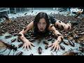 The Beauty Was Submerged By A Swarm Of Cockroaches Khepri YOUKU MONSTER MOVIE