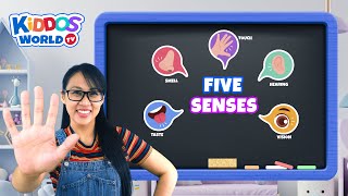 Miss V Teaches the Importance and Function of The Five Human Senses
