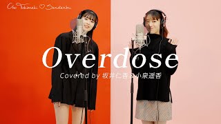 Overdose / 小泉遥香・坂井仁香【歌ってみた】