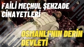 FAİLİ MEÇHUL ŞEHZADE CİNAYETLERİ VE OSMANLI'NIN DERİN DEVLETİ / Talha Uğurluel