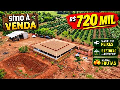 CHÁCARA FRUTAS ÁGUA CASA NOVA 5 ESTUFAS PRA PLANTAR R$ 720 MIL WHATS DO DONO 43 99832 2887