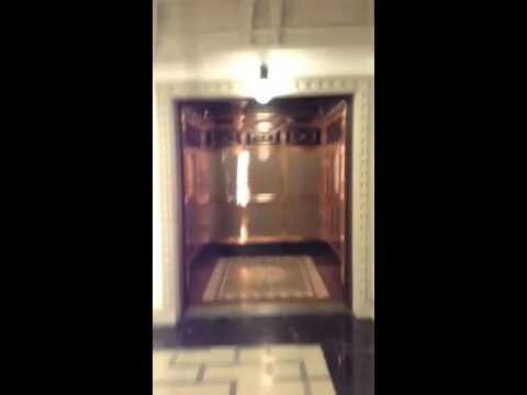 OTIS pearl lifts at Harrods in Knightsbridge.