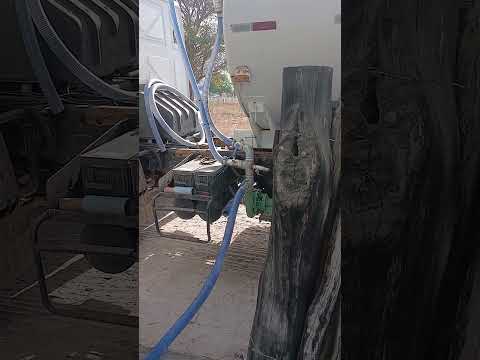 Ouro branco alagoas Sem água como é que pode? #naofloppa #naofloppa #viral #fyyppppp