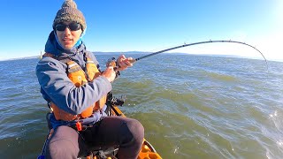 THEY'RE BACK (Best Fishing Video of 2023 Award Update)