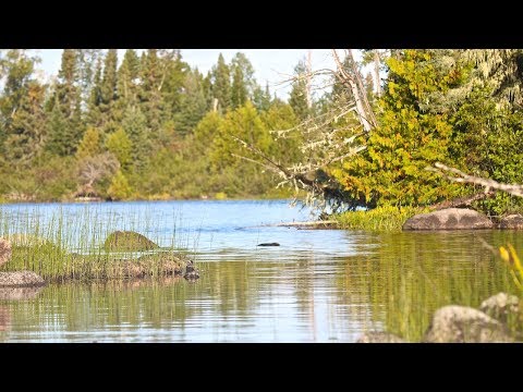 Exploring 3 Unnamed Back Lakes North Of Nakina
