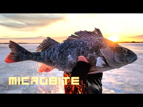 Kaamospilkillä!!! Tästä se päivä kirkastuu / Jigipilkintää Stingerillä