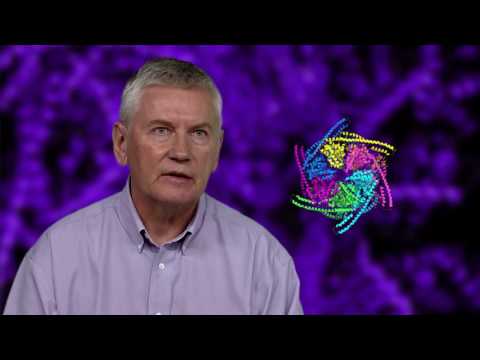 Biochemistry Faculty Profile I Michal Zolkiewski