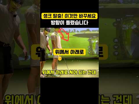 비디오 3