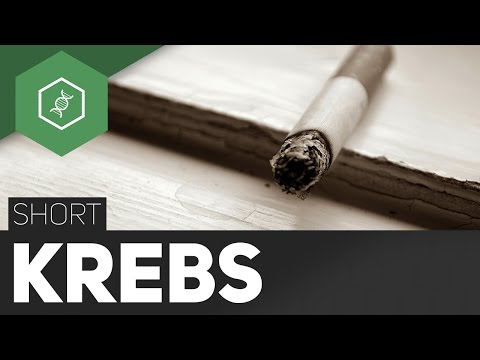 Kann es eine Erektion mit Entfernung der Prostata sein Prostatakarzinom paralysiert Beine