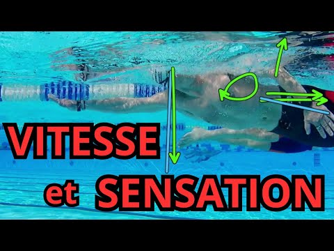 3 POINTS pour GAGNER en VITESSE (et en SENSATIONS) sur ton CRAWL quand tu es TRIATHLETE