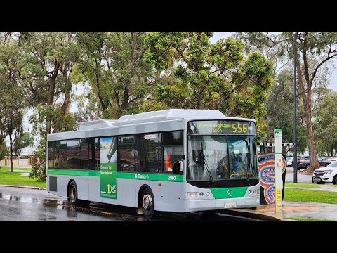Transperth TP2060 Mercedes-Benz OC500LE CNG