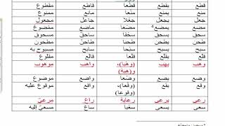 5) الشرح المطول للأمثلة المختلفة في الصرف /الشيخ علي هاني العقرباوي image