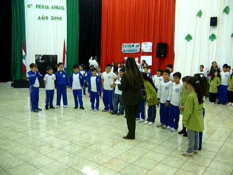 Contaminación Ambiental