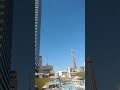 The Cosmopolitan Hotel: pool view🫧