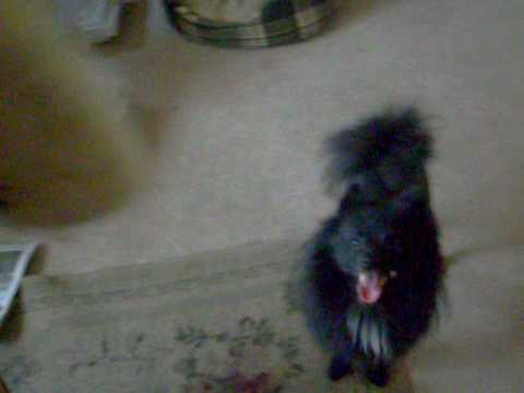 GIVIN IT TO UNCLE SAM