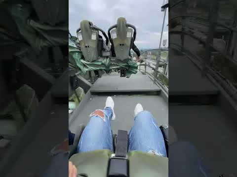 #MindfulWearing #gardalandpark #raptor #pov #viral #italy