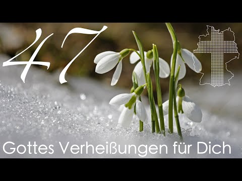 Gottes Verheißungen für Dich - Psalm 118,6 | Videokalender 47/365 - Deutschland braucht JESUS