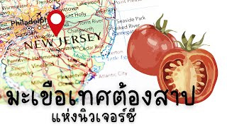 มะเขือเทศต้องสาป...แห่งนิวเจอร์ซี