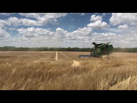 Harvest 2020