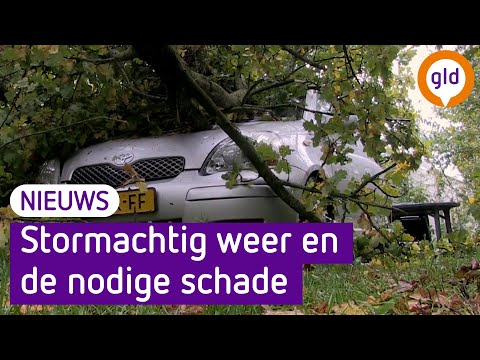 GLD Nieuws 21 oktober 2021