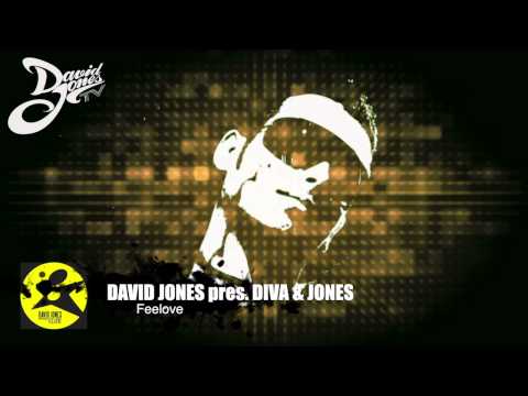 David Jones Pres. Diva & Jones - Feelove