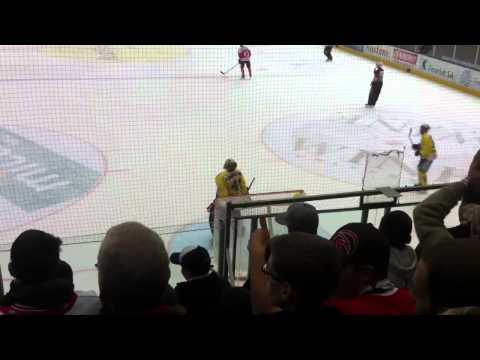 Eichmann Goal LHC / Langenthal