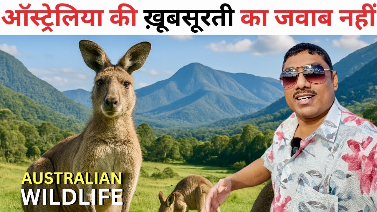 Join a traveler’s journey through the Tidbinbilla Nature Reserve.