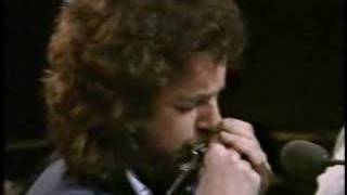 Paddy&#39;s Green Shamrock Shore - Paul Brady