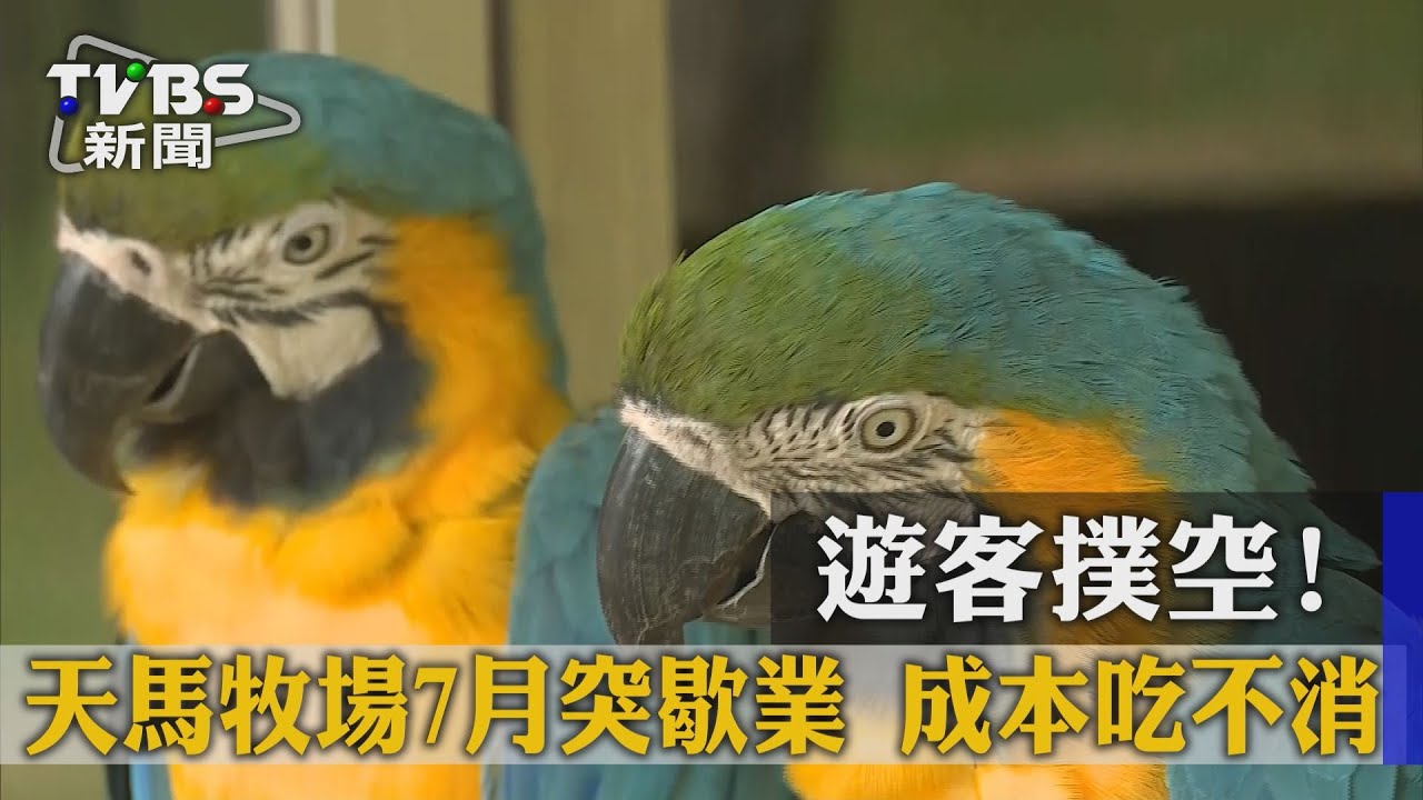 遊客撲空!天馬牧場7月突歇業 成本吃不消