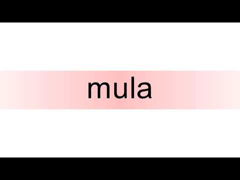 How to pronounce mula