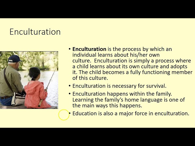 Video pronuncia di enculturation in Inglese
