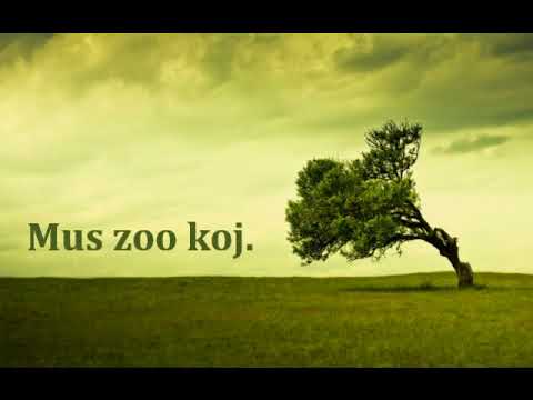 Hmoob song - lightofday ft  Sua Yang   Mus Zoo Koj