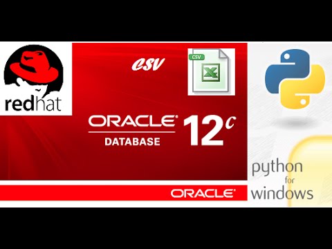 How To Export Csv Data From Oracle Database Using Python