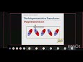 15 BEQ Echosounder Part 04