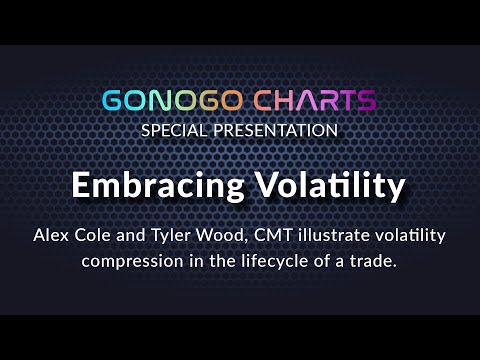 Embracing Volatility: A GoNoGo Charts Special Presentation (11.16.22)