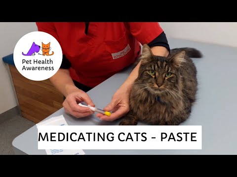 Medicating with Vibravet paste - Dave
