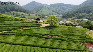 양순덕.송병주 VS 장미숙.방준혁..이천향교