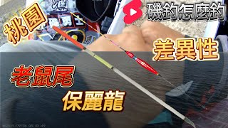 桃園｜大潭出水口南面! 兩種浮標的差異性,使用的地方!#磯釣怎麼釣 #班頭 #黑格 #黏巴達釣餌