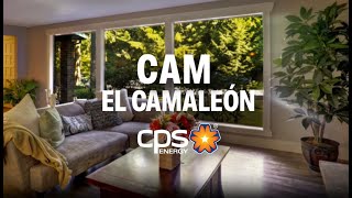 Conserve y Ahorre con Cam el camaleón