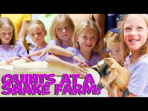 We Took the Quints to a Snake Farm!