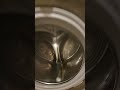 Hoover Link 1 Year Old No Issues