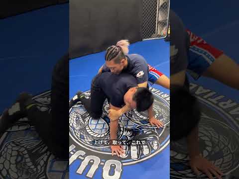 四つん這いの相手の崩し #mma #格闘技 #grappling #submission #wrestling