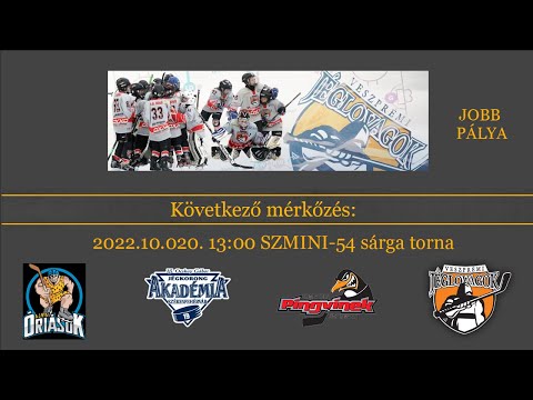 Veszprém SZMINI - 54 sárga torna - jobb oldali pálya