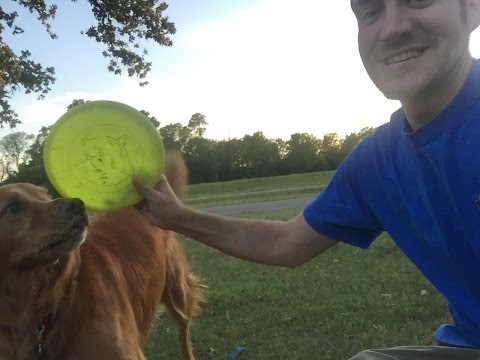 Frisbee Golf with The Shine Man! TC Jester Park, Houston, Texas