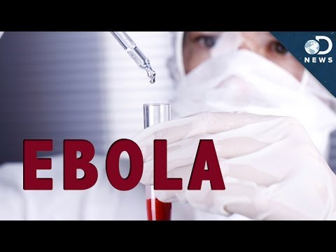 How Does Ebola Kill You?
