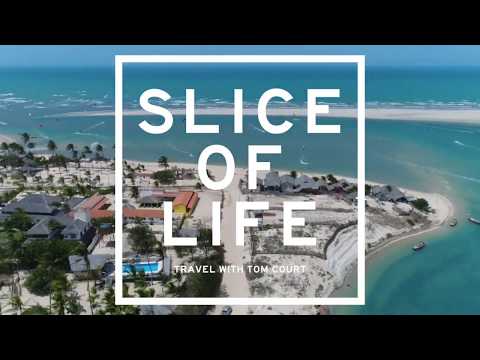 'Slice of Life' mit Tom Court - Tatajuba