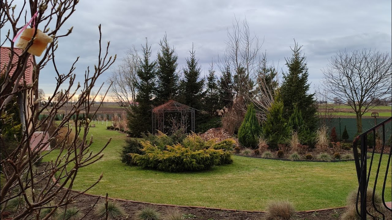 Obrzeża w ogrodzie. Czym oddzielić trawnik od rabat