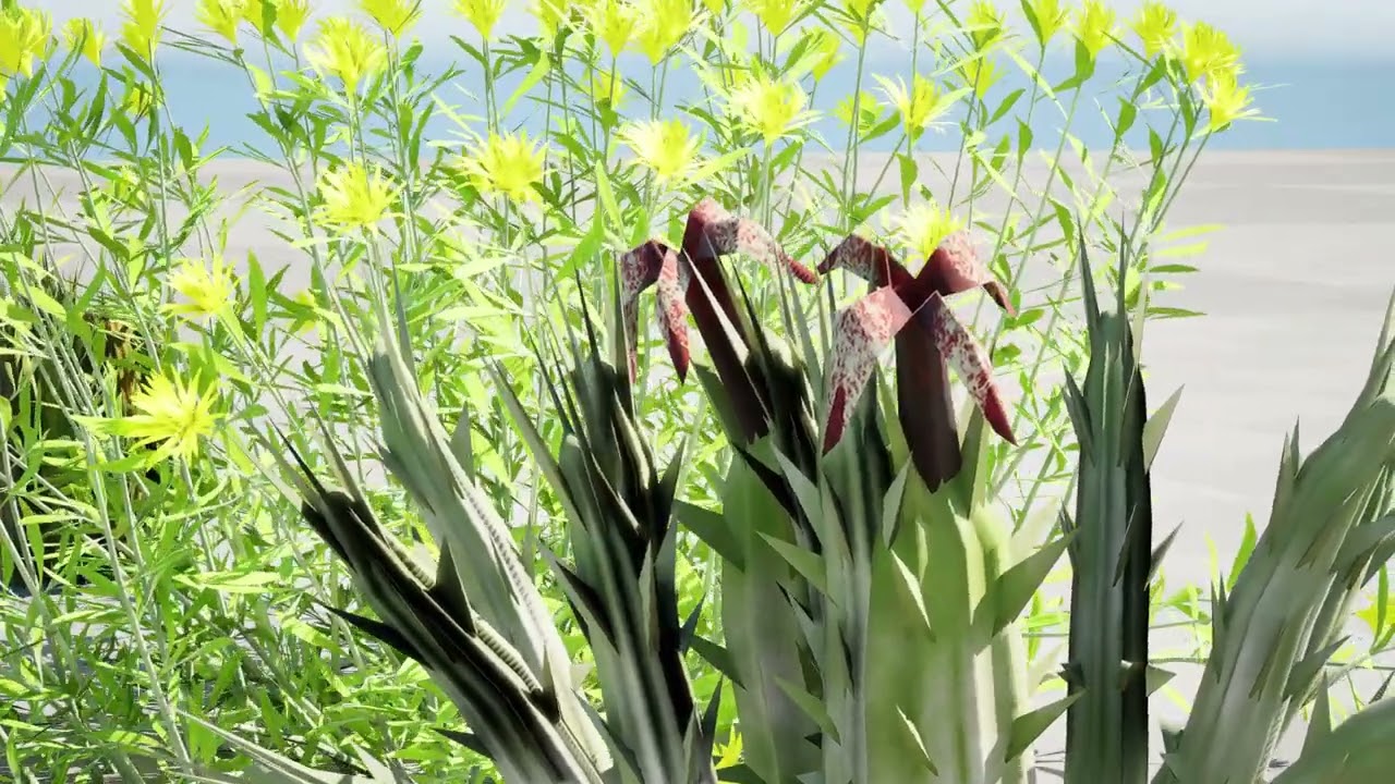 Plantas do Deserto &Aacute;rabe Modelo 3D