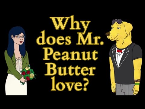 Why does Mr. Peanutbutter Love? (Bojack Horseman Video Essay)